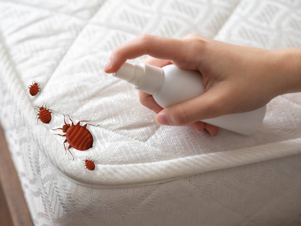 Professional Pest Control in West View, PA